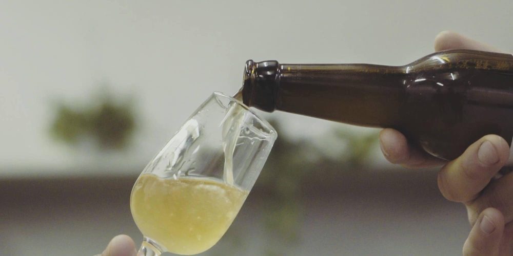 vignette_chienbleu_bière_polomarco